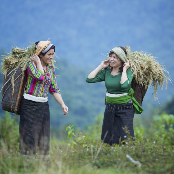 Vietnam women agriculture