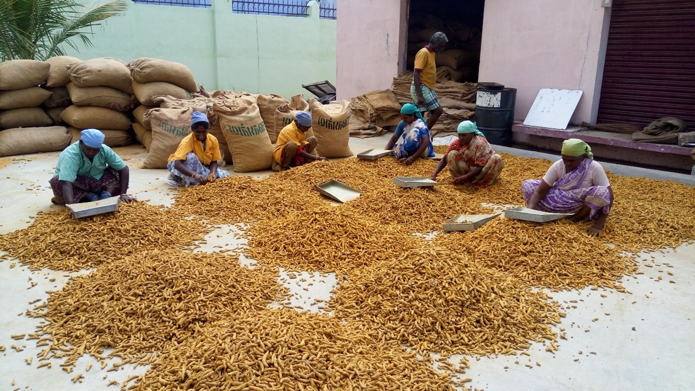 The Golden Harvest