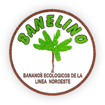Asociación de Bananos Ecológicos de la Línea Noroeste – Banelino