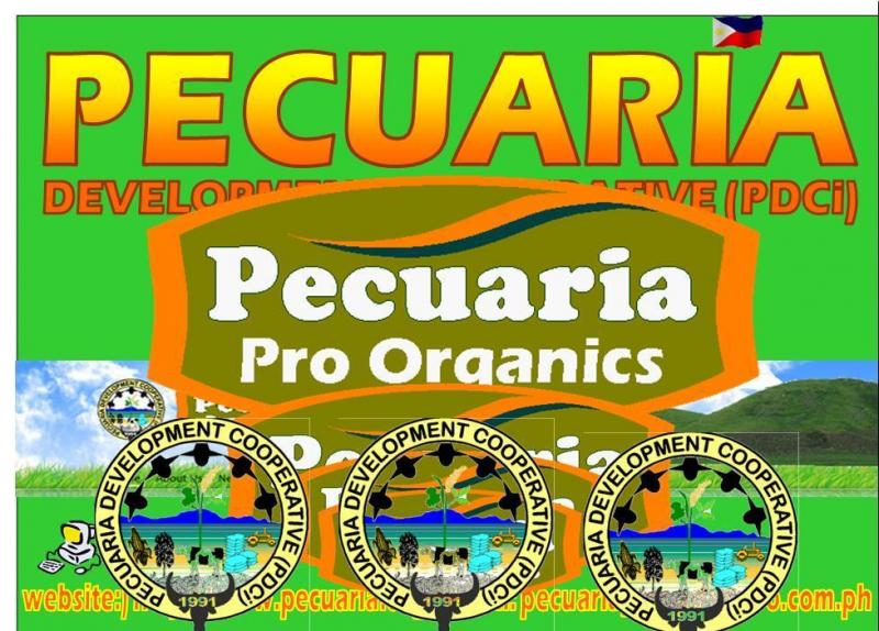 Pecuaria Development Cooperative (PDCi)