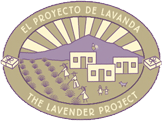 The Lavender Project – El Proyecto de Lavanda