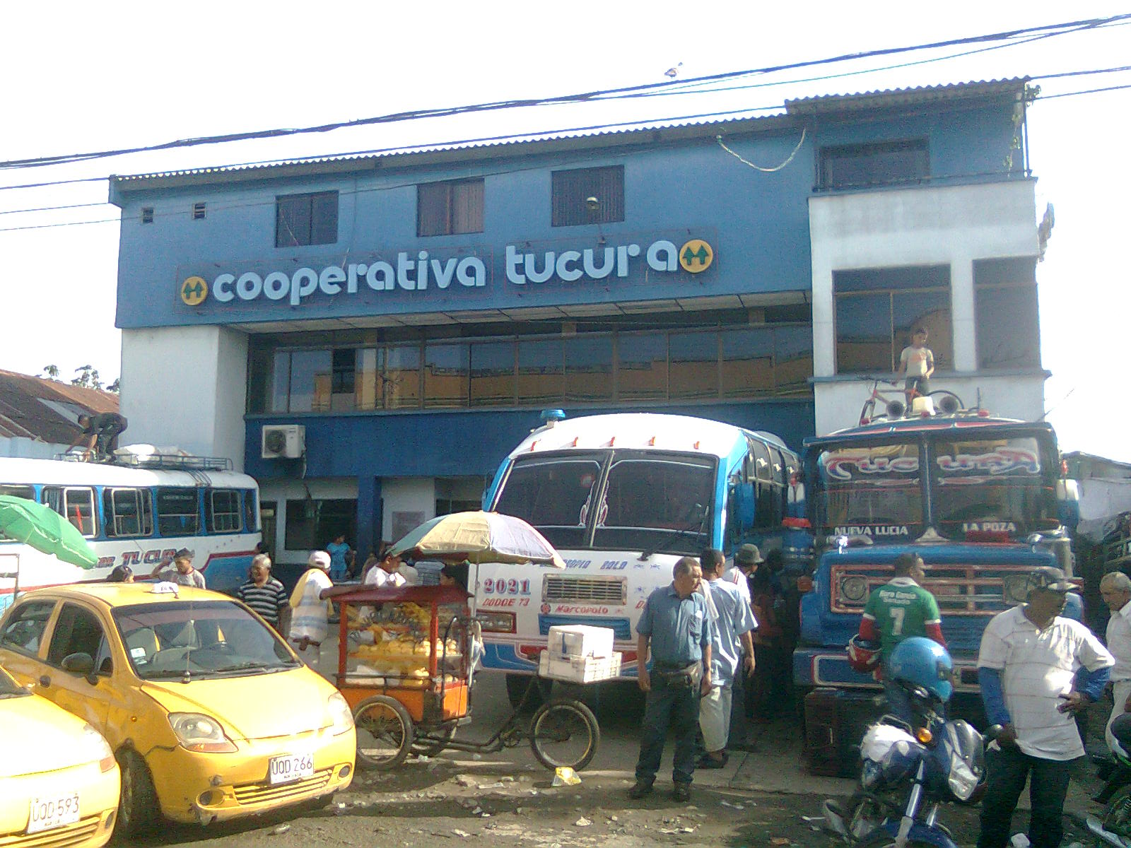 TUCURA LTDA (COOTRANSTUR). A TRANSPORTERS CO-OPERATIVE