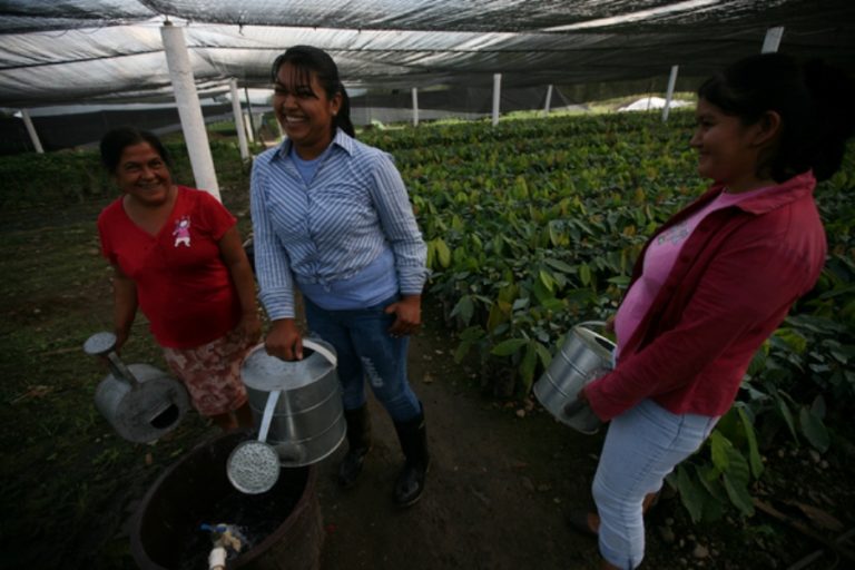 Small producers’ cooperative building success in Honduras