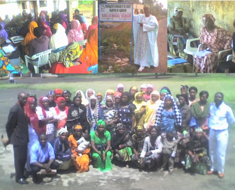 Bringing Islamic Microfinance to the Women of Rural Cameroon